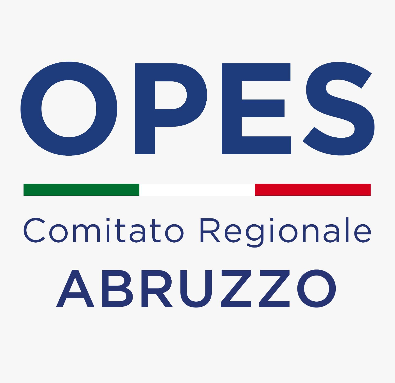 logo opes 2025